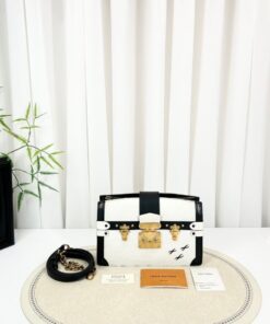 Louis Vuitton Trunk Clutch White Epi