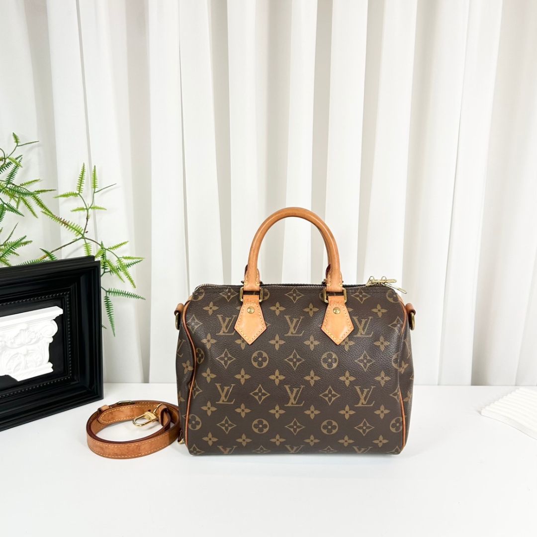 Louis Vuitton Monogram Speedy 25